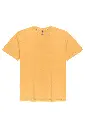 400-mustard-5.webp