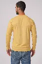 401-MUSTARD-12.webp