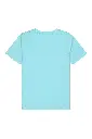 500-mint-12.webp