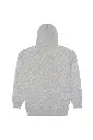 888-greyhtr-12.webp
